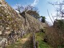 Hikone12.jpg