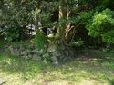 Hikonegenkyuen6.jpg
