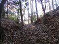 Thumbnail for version as of 10:28, 4 September 2025
