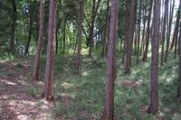 Katsunuma6.jpg