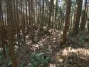 Kokashingushi24.jpg