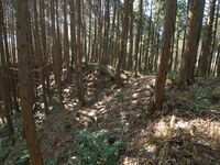 Kokashingushi24.jpg