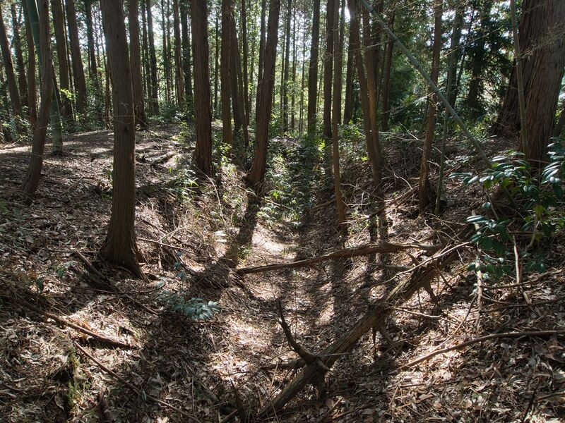 File:Maruokakoka2.jpg