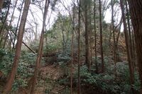 Matsuida18.jpg