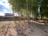 MikawaOkajouGlenn (1).jpg