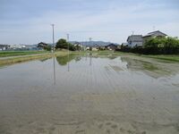 MikawaUrabejou (3).JPG