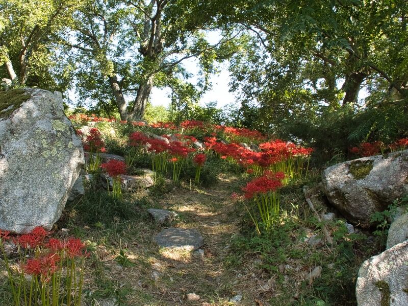 File:Ohmizojo7.jpg