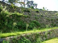 Toba5.jpg