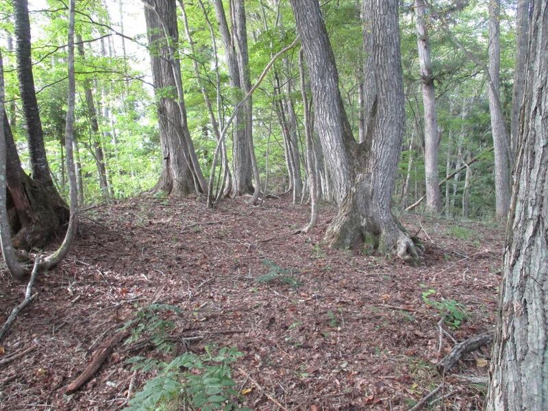 File:YakyuuToride (8).jpg