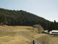 Ayukawa4.jpg