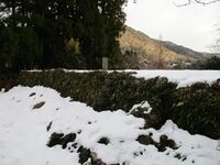 Hikidajou (64).JPG