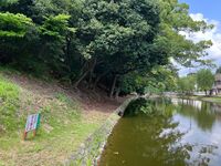 Himejimiddlemoat4.jpg