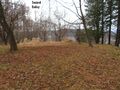 Thumbnail for version as of 22:16, 12 January 2020