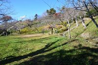 Ishinomaki9.JPG
