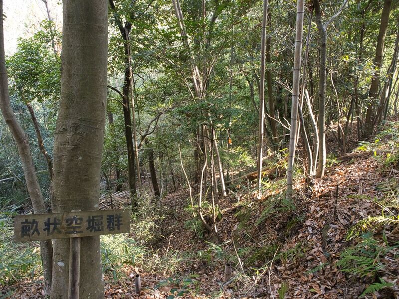 File:Kaseyamakyoto57.jpg