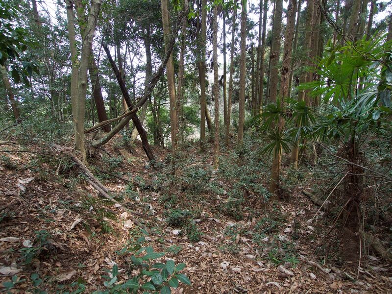 File:Nijojo4.jpg