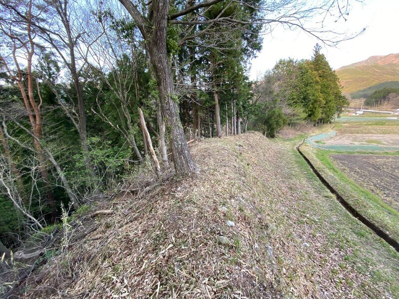 File:SakuraborajouChris (8).jpg