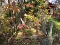 Thumbnail for version as of 22:19, 30 April 2024