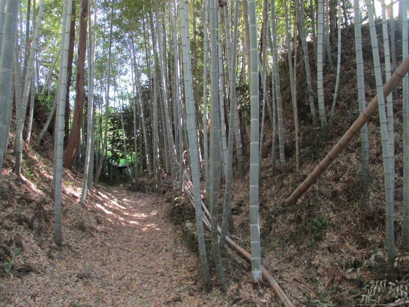 File:TouyaganejouA (1).jpg