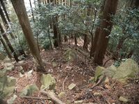 Tsubokasayama10.jpg