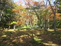 Wakatsukiyamajou (1).jpg