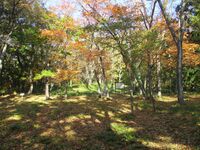 Wakatsukiyamajou (1).jpg
