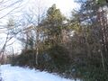 Thumbnail for version as of 18:16, 23 January 2020