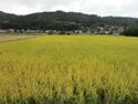 AzumiUyamaYakata (4).JPG