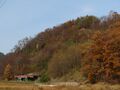 Thumbnail for version as of 22:04, 12 January 2020
