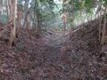 Thumbnail for version as of 00:37, 26 April 2020