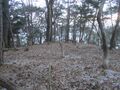 Thumbnail for version as of 11:28, 24 May 2025