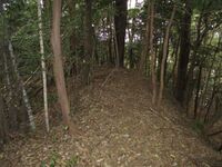 IseIchibajou005.jpg