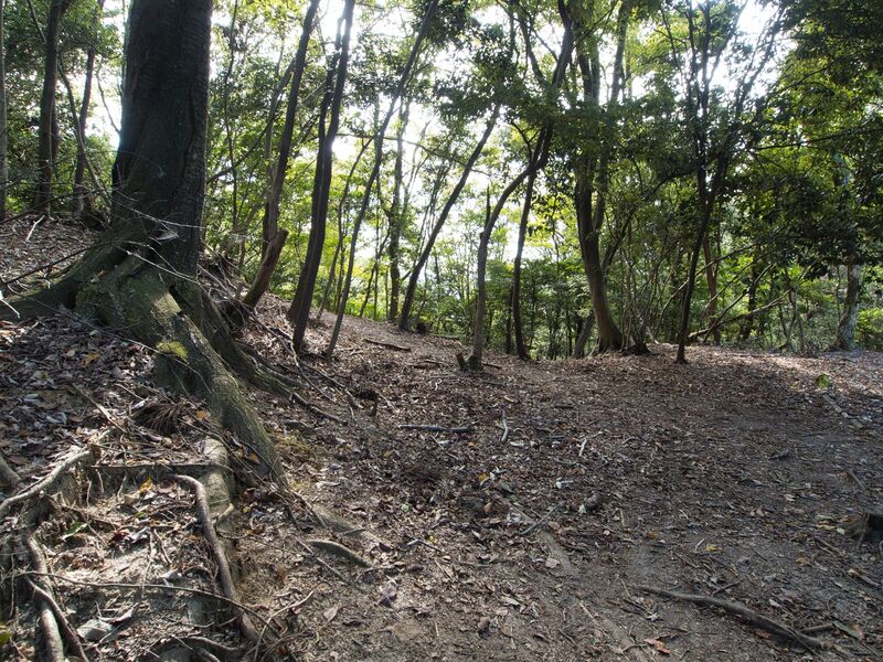 File:Kirarazaka19.jpg