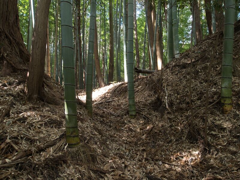 File:Mochizukishikoka21.jpg