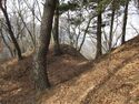 MurakamiDeurajou (3).JPG