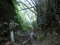 Sadowarajô (77).JPG