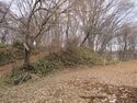 SakuMochidzukijou (12).JPG