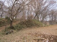 SakuMochidzukijou (12).JPG