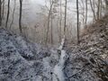 Thumbnail for version as of 19:34, 13 January 2021