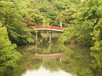 Takaoka3.jpg