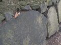Thumbnail for version as of 07:43, 17 May 2024