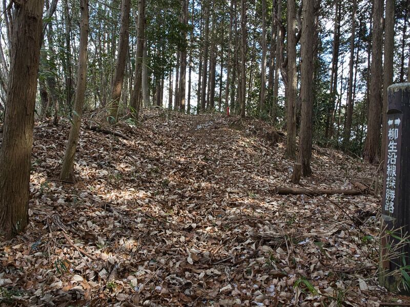 File:Yagyufurushiro19.jpg