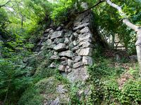 Gifu37.jpg