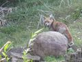 Thumbnail for version as of 06:07, 2 July 2022
