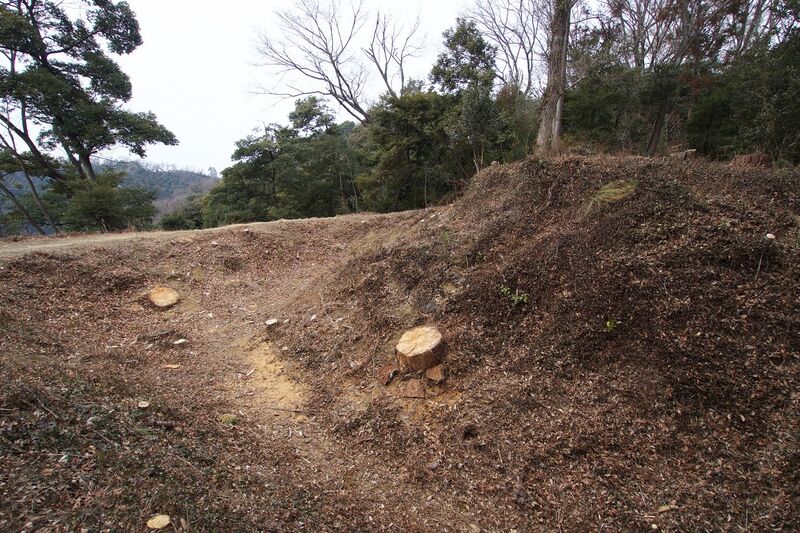 File:Karasawayama41.jpg