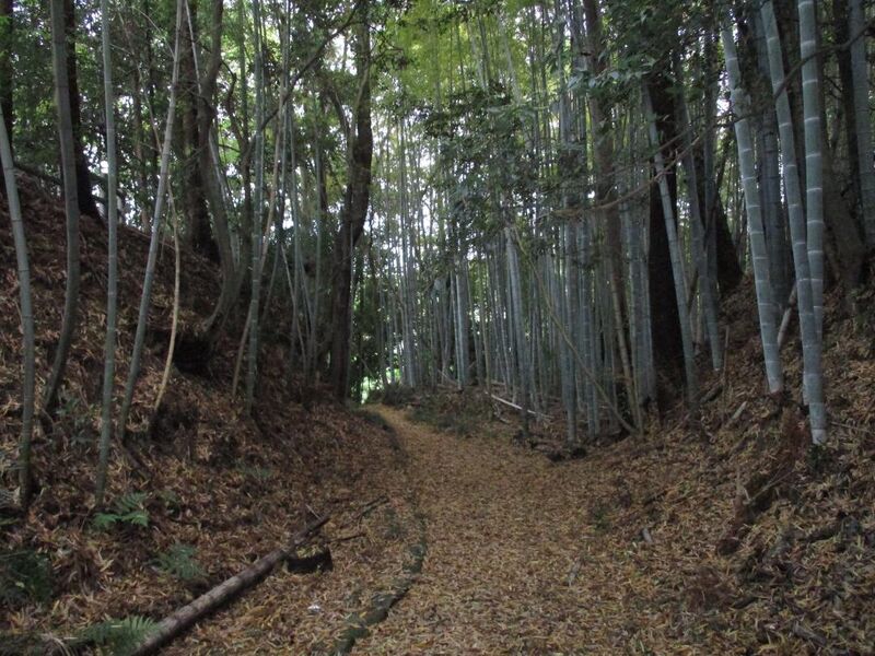 File:Marunejou (19).jpg