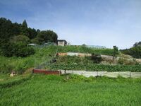 MikawaOrojou (3).JPG