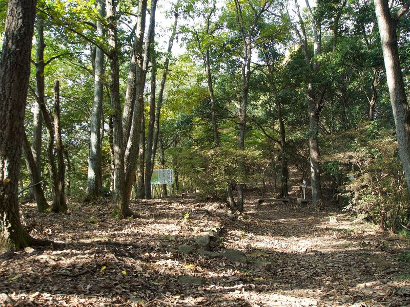 File:Niitakayama25.jpg