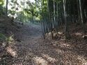Odawara sogamae18.jpg