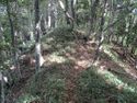 SarugajouNoroshidai (4).jpg